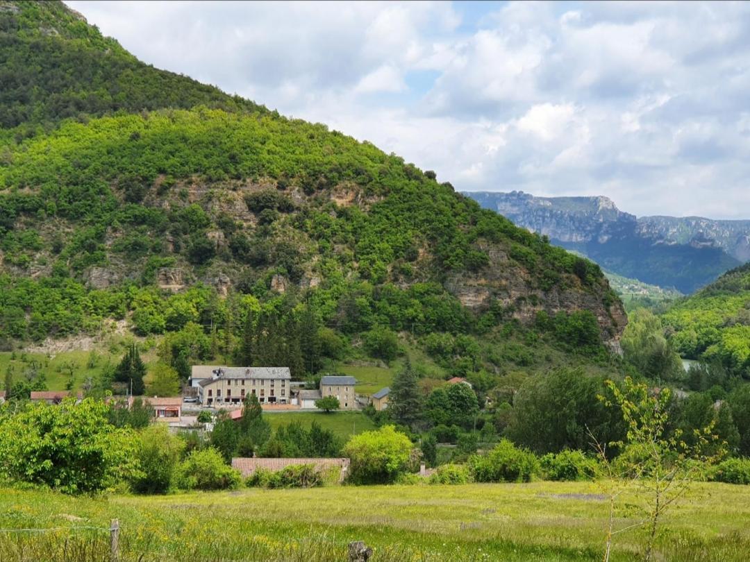 Hotel Des Gorges Au Viaduc 塔恩河畔里维耶尔 外观 照片
